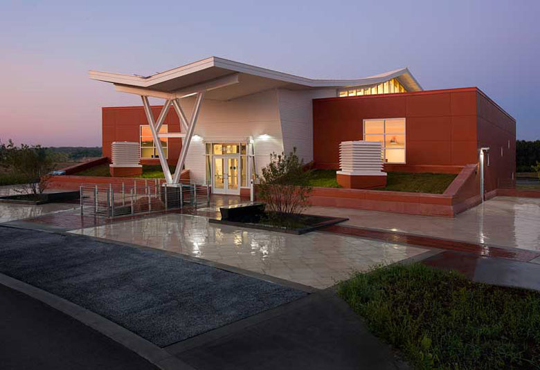 mosquito city image lrg